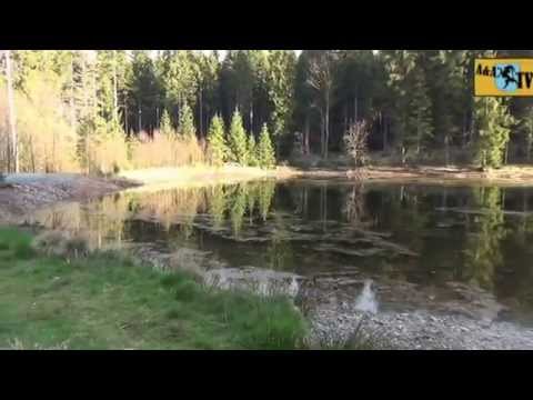 Olympia 2026 in Geyer mit Annel und Alois