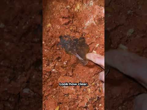 Exciting Surprise While Digging at Night! with @TheCrystalCollector @AvantMining