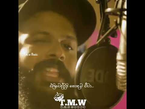 Shan putha x Rachchy x MinnyMe- URUJUAL (ඌරුජුවල්) (T.m.w music status video)