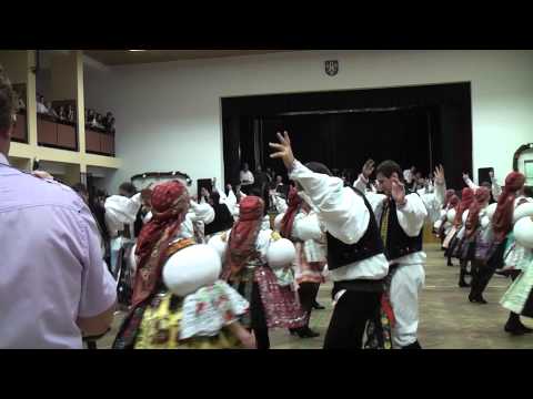 Boršické hody 2014