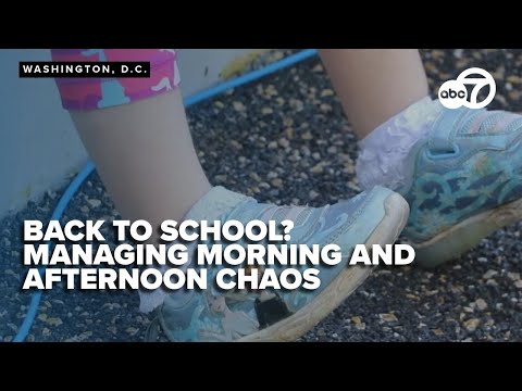 Expert tips: Transform chaotic mornings and afternoons into smooth routines for families