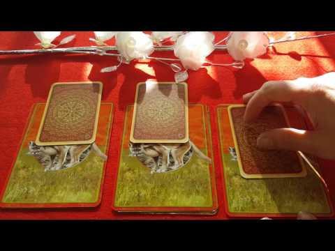 Wochenorakel vom 24. Oktober 2016 bis zum 30. Oktober 2016