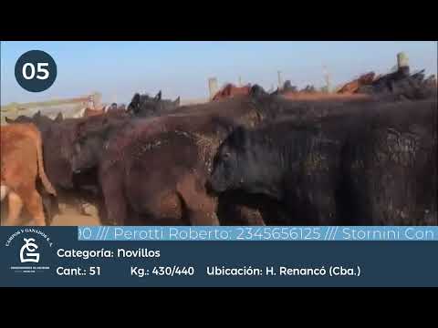 Lote Nv UE HILTON - H. Renancó Córdoba