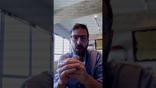 IA prevê o futuro? Conheça o MiroFish 🔮
