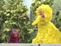 Ulica Sezam Sesame Street Telly S Flea Serbian Kosovo