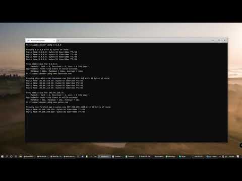 The ping command in 60 seconds or less