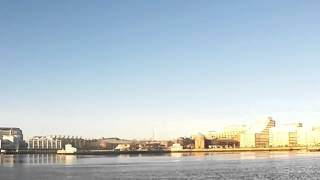 THE STANDELLS Boston Harbor