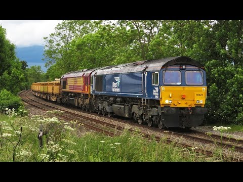 DRS 66423 & EWS 66040 - 6D95 Engineer's, Chellaston (Derby) 14/06/19.