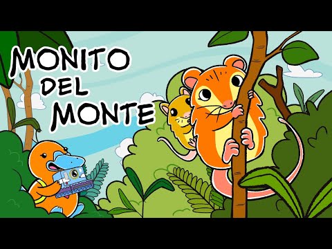 Hola Flinko - Monito del monte / Capítulo 4 Completo Temporada 1
