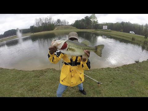 ZJBB Pond Tournament Promo !!