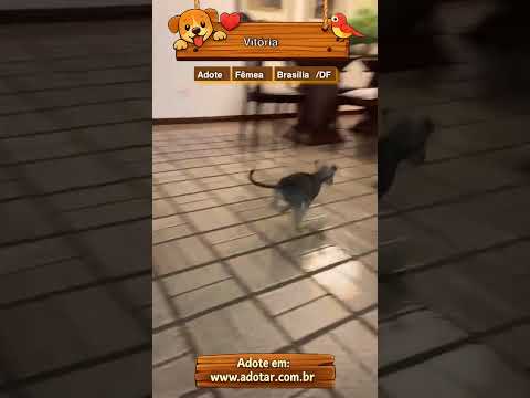 Vídeo de Vitória 
