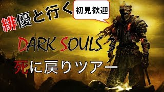 [PS4]【ダクソ3実況】ダークソウルシリーズ初プレイ！！教えてくれぇぇぇ、、 【緋優】#61