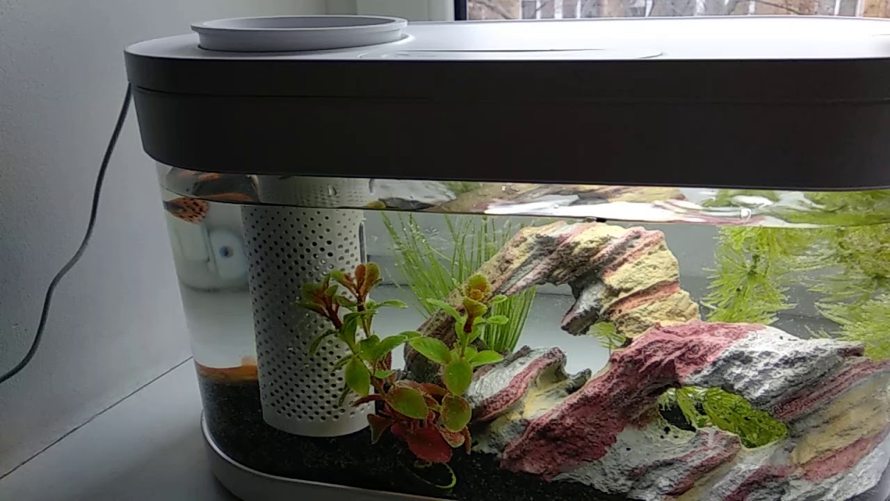 Xiaomi Ai Smart Modular Fish Tank