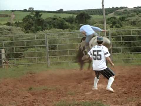 Touro - Toma Lá, Dá Cá