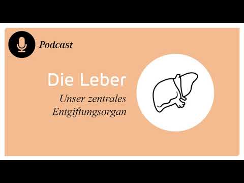Leber | Unser zentrales Entgiftungsorgan