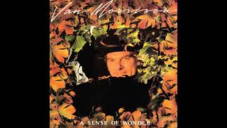 Van Morrison - A Sense Of Wonder - Full Vinyl Record
