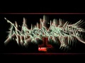AngelMaker - Squirrels [clip] (lyric video sample ...
