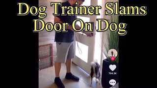 Dog Trainer Slams the door on the dog to teach it not to dart out the door