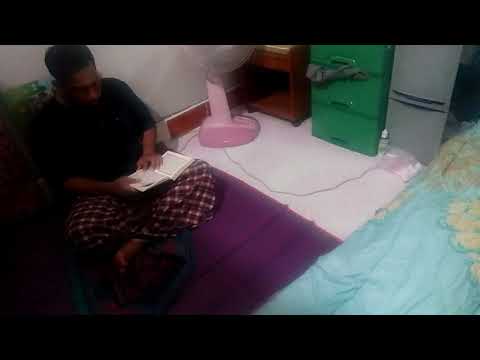 My cat intended to listen to Alquran