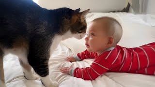 When Kids Are RAISED by the LOVE of a Cat