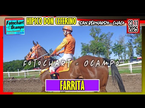 FARRITA San Bernardo CH  23 11 2025