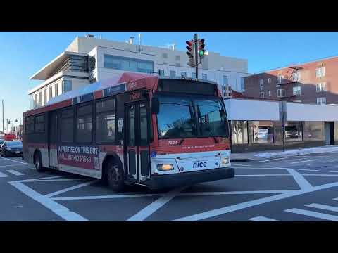 NICE Bus: 2011 Orion VII NG CNG 1824 n40X Express