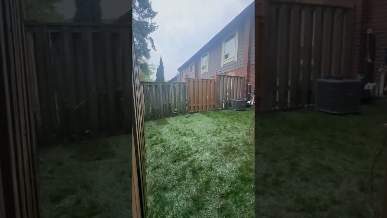 External video