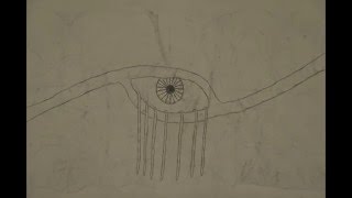 Animal Collective - Derek (Animation)