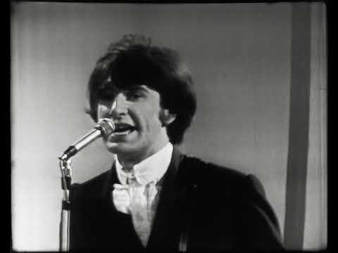 The Kinks - All Day And All Of The Night (Live Shindig! 1965) - Remastered