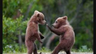 Tenacious D Karate Schnitzel + Karate song