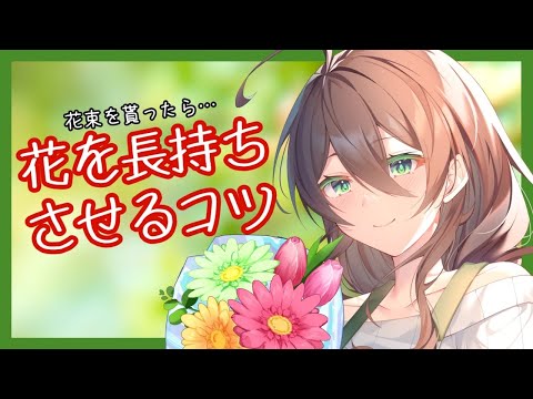 蘭の花を長持ちさせるための適切なケア  庭園