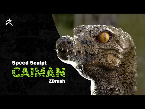 Caiman sculpting timelapse, Zbrush tutorial