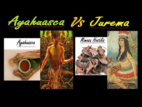 Jurema vs Ayahuasca