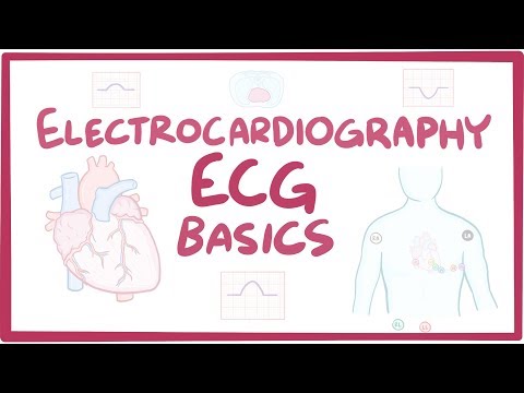 Electrocardiography (ECG/EKG) - basics
