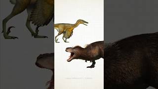 Did dinosaurs have FEATHERS? #science #dinosaur #wildlife #biology #dino