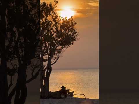 As belezas do rio Tapajós Paria ponta de pedras