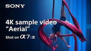 Video 6 of Product Sony A7S III (Alpha 7S III) Full-Frame Mirrorless Camera (2020)