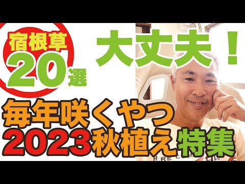 ホワイトテキサスセージ農園のメンテナンス