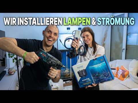 LIGHTING & FLOW for Gloria's Beginner Aquarium! - Tunze