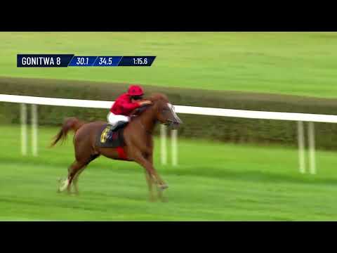 Gonitwa 8 - 17.08.2025