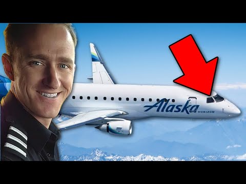 Pilot Actually TRIED To Crash Airliner!