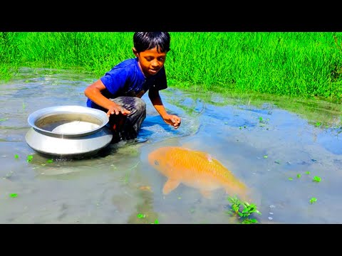 amazing hand fishing videos  - Smart boy catching carp fish by hand from mud water part - 123