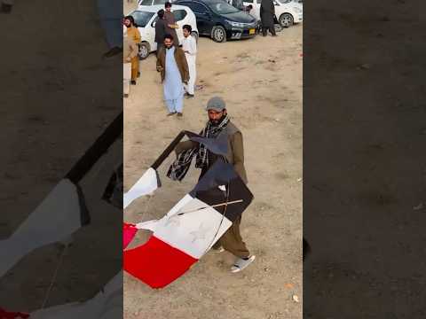 kite looting video #kite #kiteground #kiteflying #kitevideo #patang #shortvideos #kitelooting