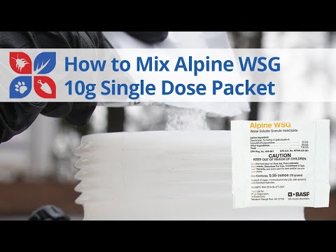  How to Mix Alpine WSG Video 