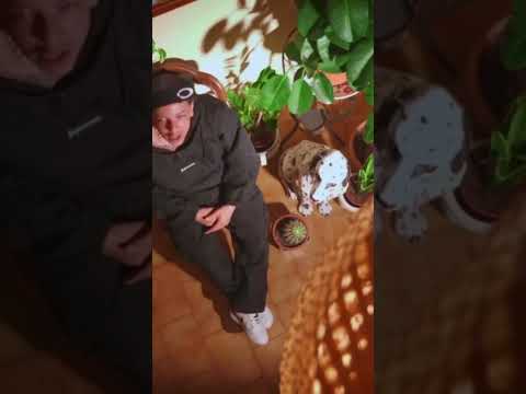 #chile #rap #colombia #musica #panama #hiphop #peru #lyrics #ecuador #puertorico #republicadominican