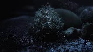 Music video thumbnail preview for Imminence - Du by Imminence
