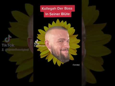 Kollegah   in seiner Blüte