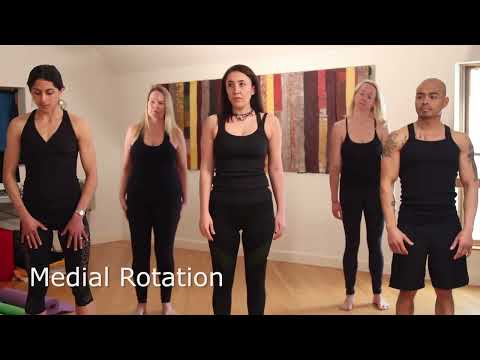 NEW! Yoga Anatomy with Tom Myers On Demand