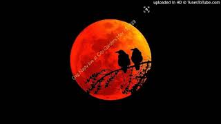 Dag Nasty - Never Green Lane @City Gardens, Trenton, NJ 5/18/88