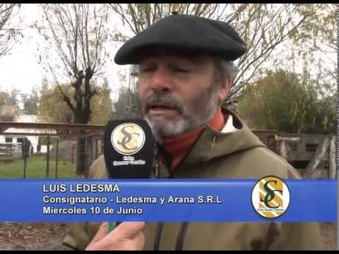 Ledesma y Arana S.R.L. - Luis Ledesma - Tandil - 11/06/2014
